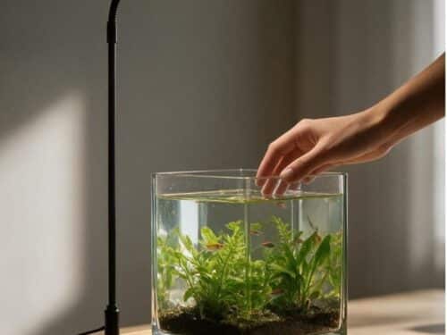 Lampe LED aquarium avec socle en bois posé au-dessus d'un aquarium
