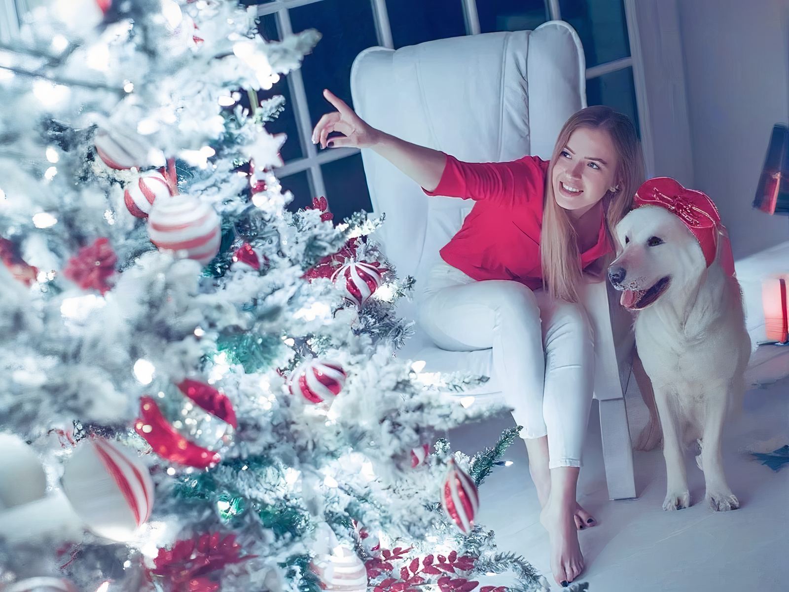 Guirlande LED à pile avec flocons de neige