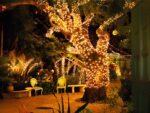 Guirlande led exterieur scintillante et solaire