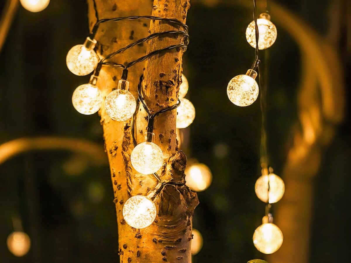 Guirlande LED solaire design et chaleureuse Guirlande LED solaire design et chaleureuse enroulée autour d'un arbre