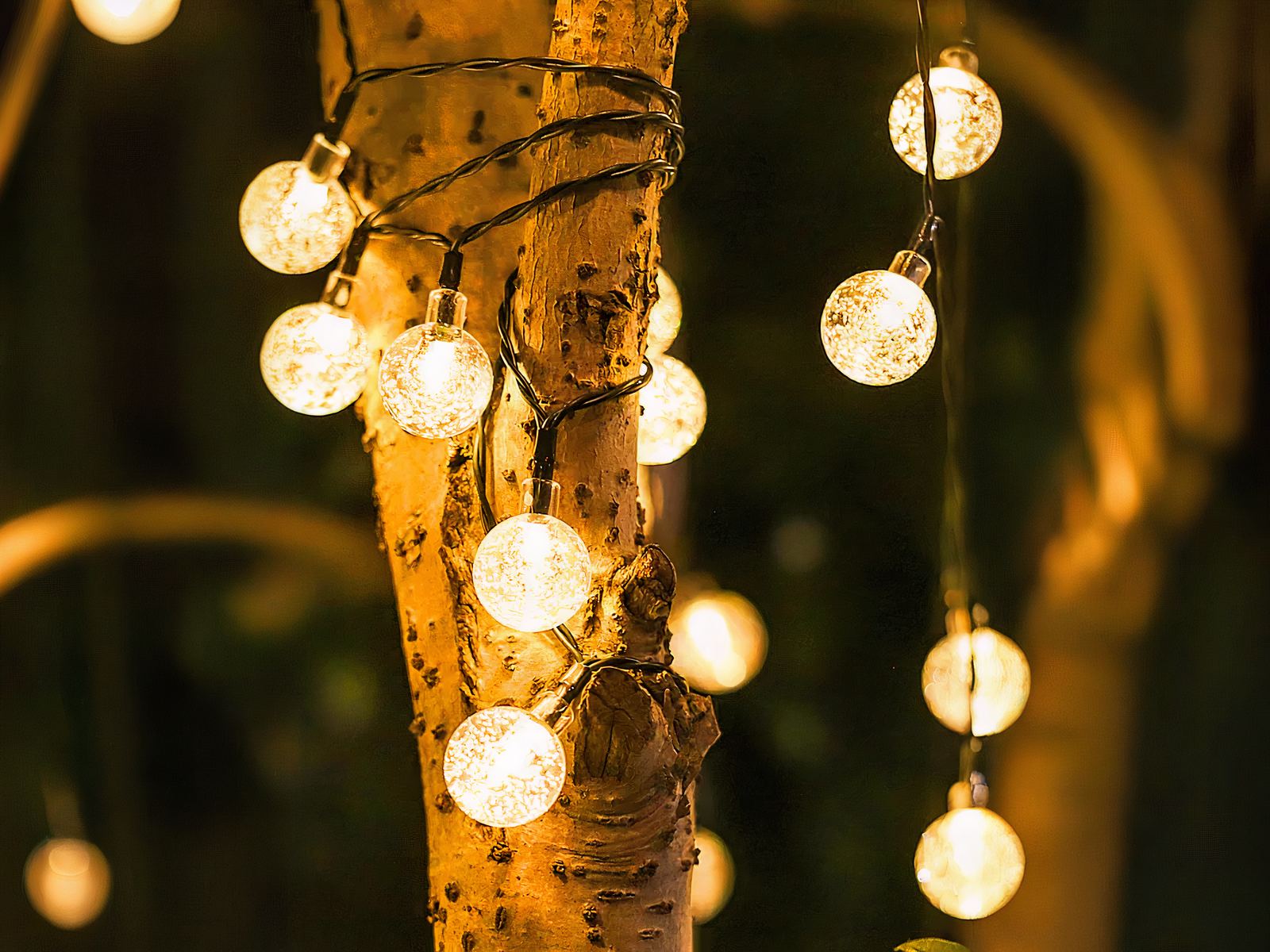 Guirlande LED solaire design et chaleureuse enroulée autour d'un arbre