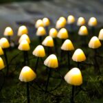Guirlande LED solaire en forme de champignon Guirlande LED solaire en forme de champignon installée dans de l'herbe