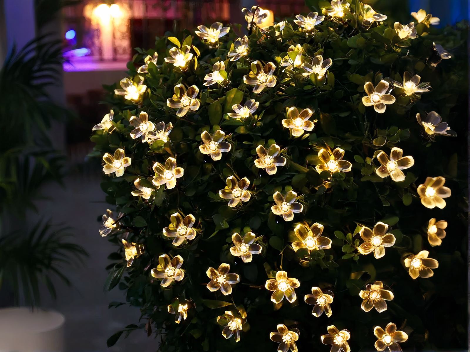 Guirlande LED solaire en forme de fleurs