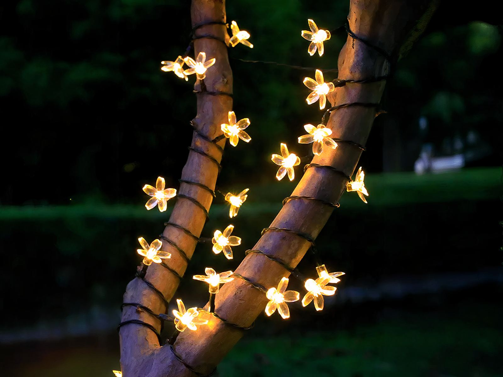 Guirlande LED solaire en forme de fleurs installée autour d'un arbre
