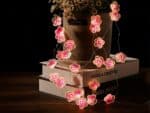 Guirlande mini LED design en forme de fleurs roses, sur des livres et un pot de fleur.