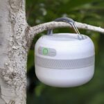 Lampe de camping LED avec lumière variable et poignée suspendue à la branche d'un arbre