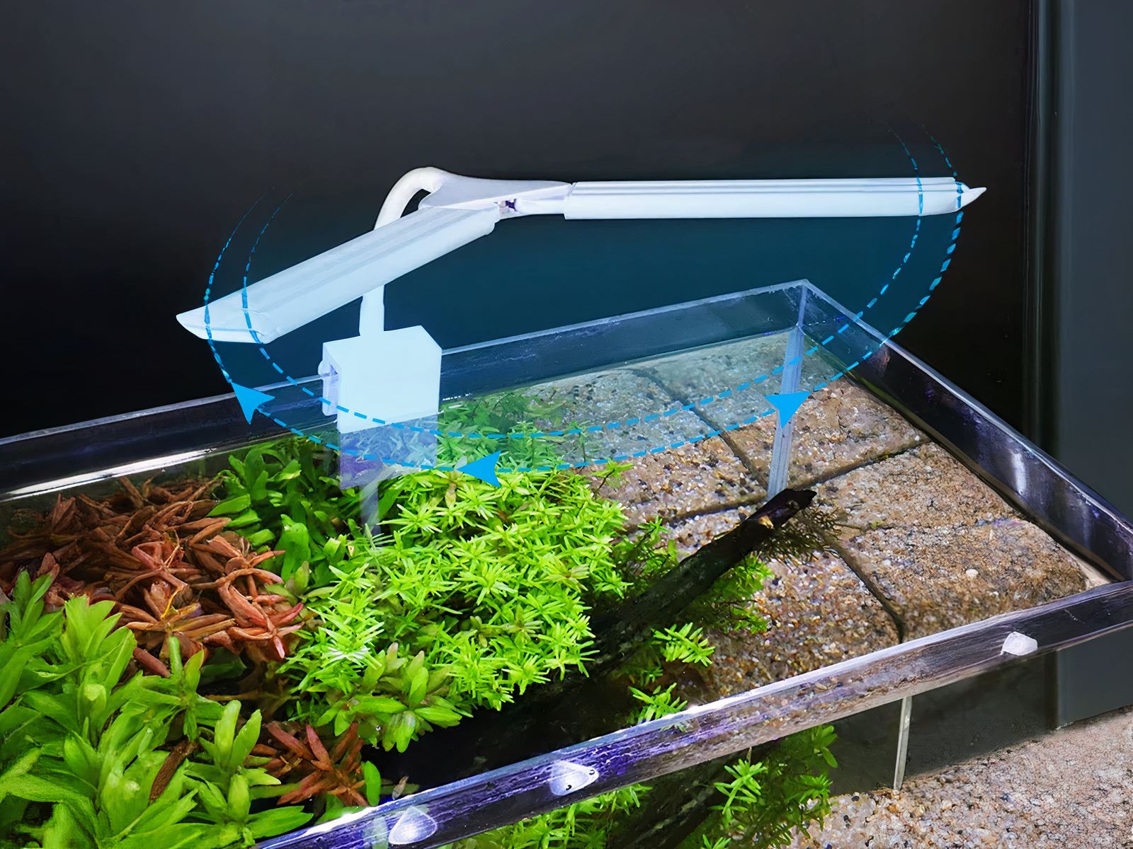 Lampe LED aquarium avec deux lumières amovibles