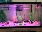 Lampe LED aquarium avec lumière multicolore