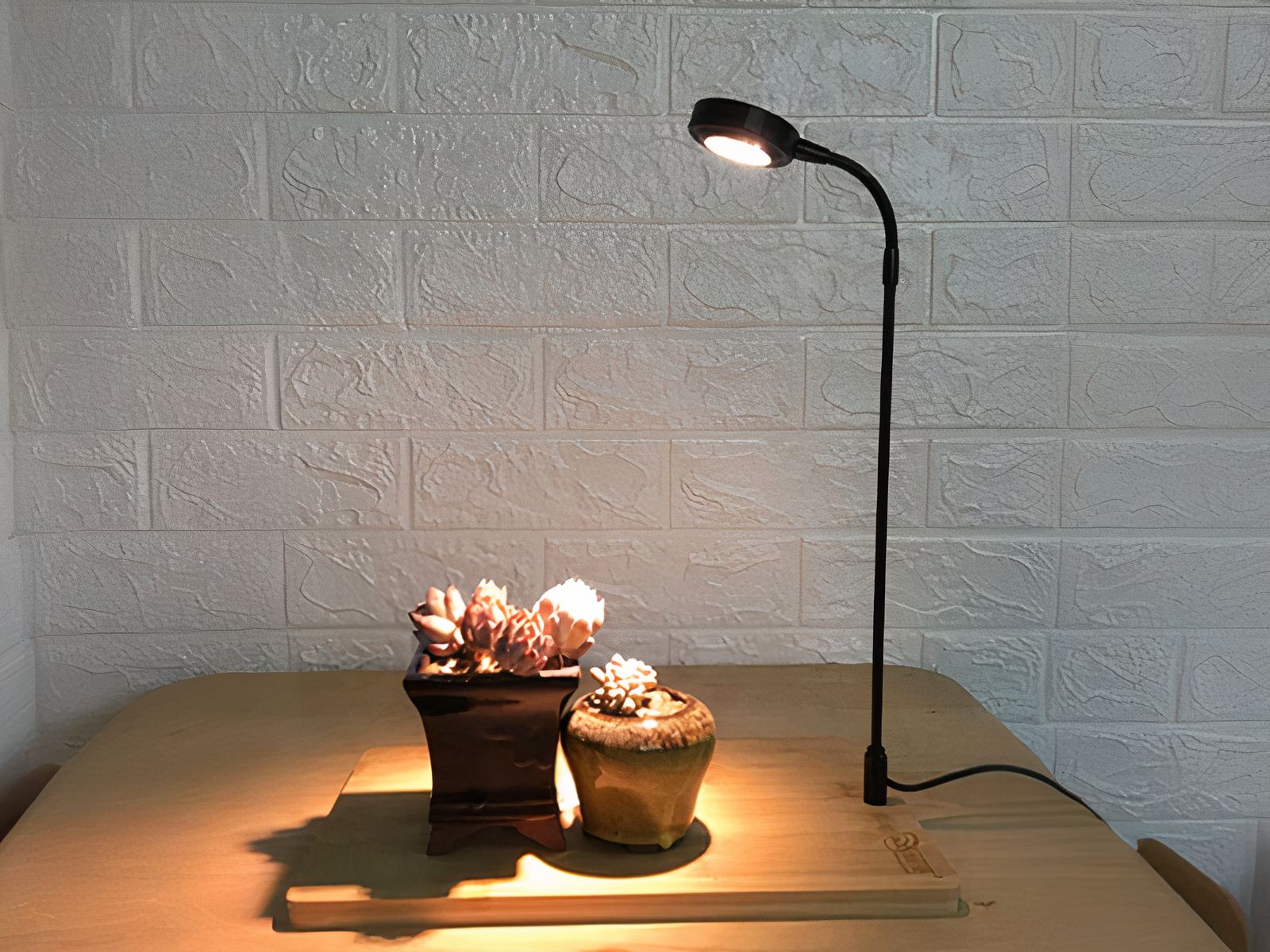 Lampe LED aquarium avec socle en bois