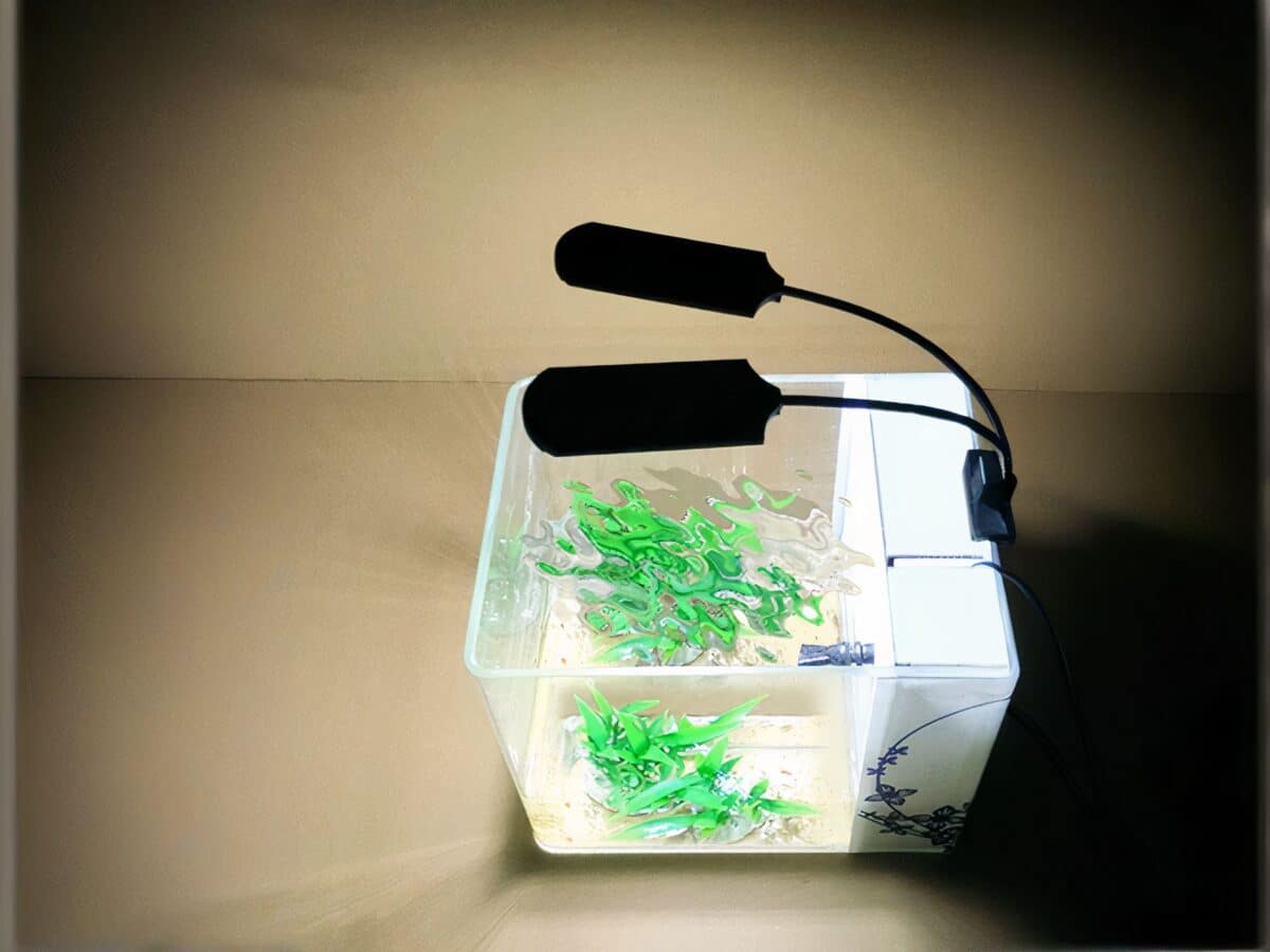 Lampe LED aquarium flexible à deux têtes Lampe LED aquarium flexible à deux têtes installée sur un aquarium avec des plantes vertes à l'intérieur
