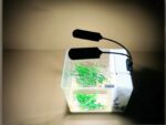 Lampe LED aquarium flexible à deux têtes installée sur un aquarium avec des plantes vertes à l'intérieur