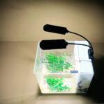 Lampe LED aquarium flexible à deux têtes Lampe LED aquarium flexible à deux têtes installée sur un aquarium avec des plantes vertes à l'intérieur