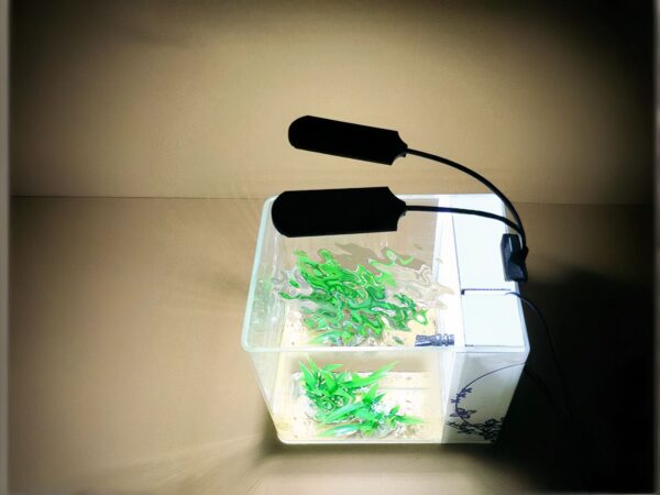 Lampe LED aquarium flexible à deux têtes installée sur un aquarium avec des plantes vertes à l'intérieur