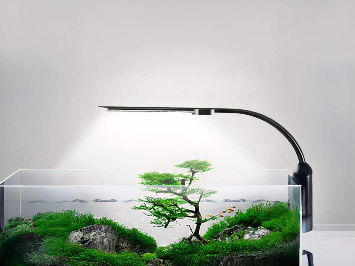 Lampe LED aquarium moderne et design Lampe LED aquarium moderne et design installée sur le bord d'un aquarium avec des plantes à l'intérieur sur fond gris