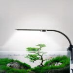 Lampe LED aquarium moderne et design Lampe LED aquarium moderne et design installée sur le bord d'un aquarium avec des plantes à l'intérieur sur fond gris