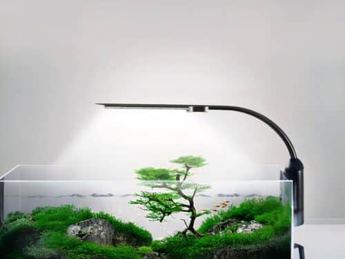 Lampe LED aquarium moderne et design installée sur le bord d'un aquarium avec des plantes à l'intérieur sur fond gris