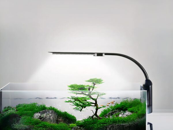 Lampe LED aquarium moderne et design installée sur le bord d'un aquarium avec des plantes à l'intérieur sur fond gris