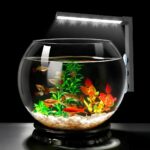 Lampe LED aquarium tactile avec ventouses Lampe LED aquarium tactile avec ventouses installée sur le côté d'un aquarium rond sur fond noir