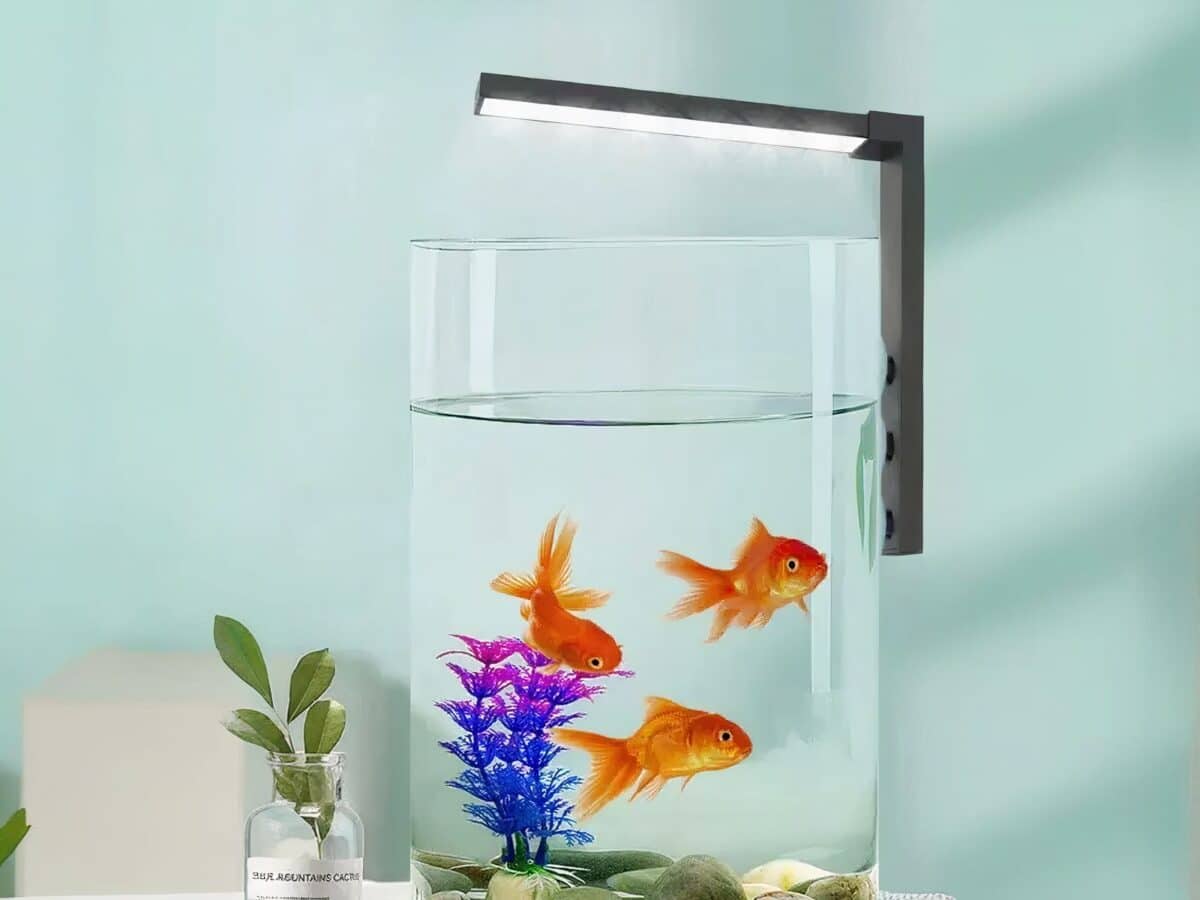 Lampe LED aquarium tactile avec ventouses