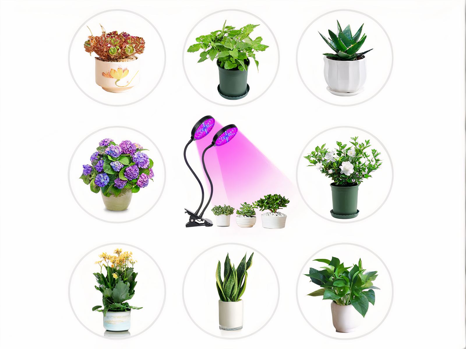 Lampe LED horticole avec deux têtes flexibles