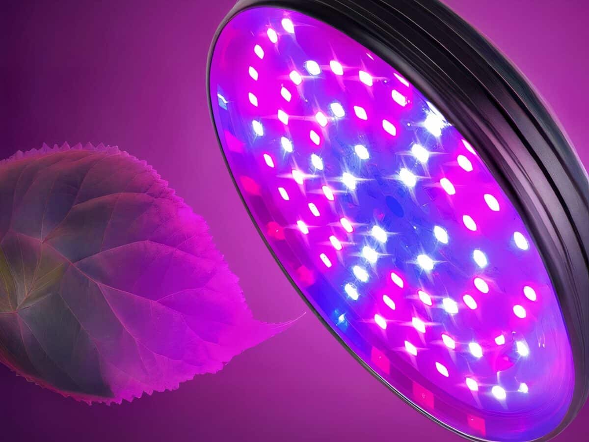 Lampe LED horticole avec deux têtes flexibles