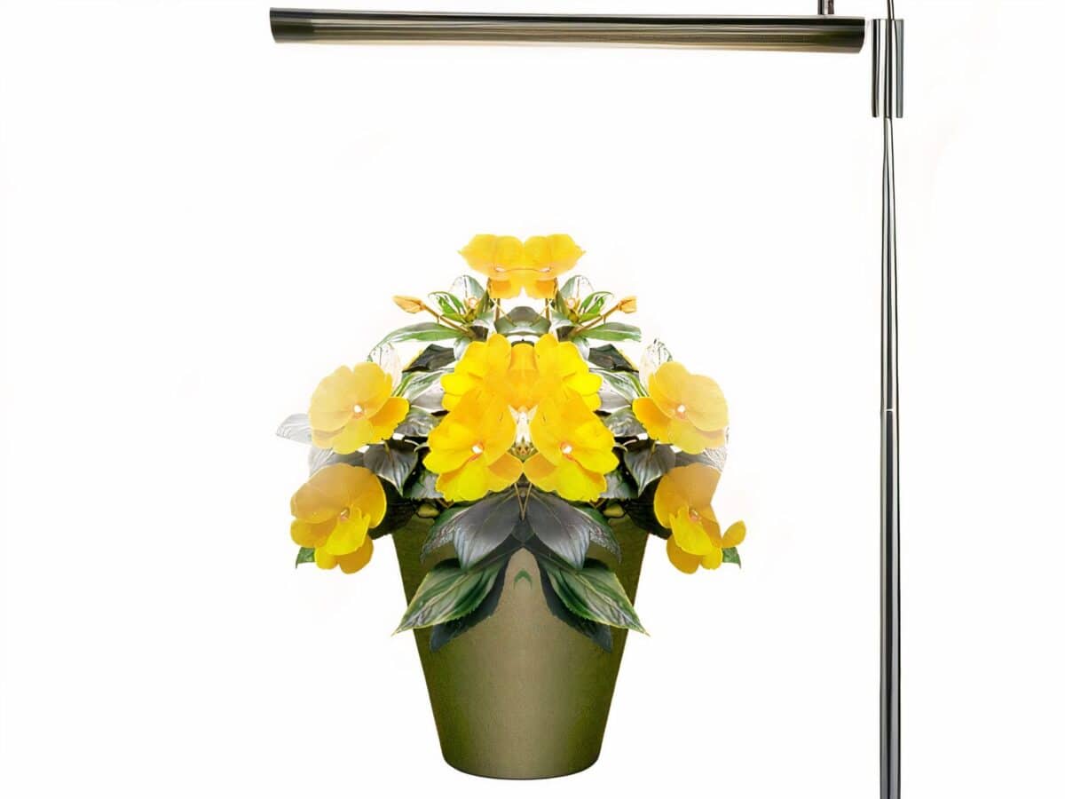 Lampe LED horticole avec luminosité ajustable Lampe LED horticole avec luminosité ajustable qui éclaire des fleurs en pot sur fond blanc