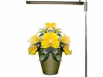 Lampe LED horticole avec luminosité ajustable qui éclaire des fleurs en pot sur fond blanc