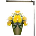 Lampe LED horticole avec luminosité ajustable qui éclaire des fleurs en pot sur fond blanc