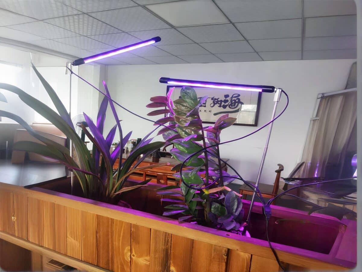 Lampe LED horticole avec luminosité ajustable