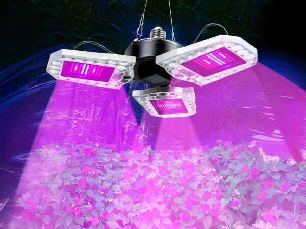 Lampe LED horticole avec trois panneaux installée au-dessus d'un massif de fleurs