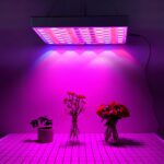 Lampe LED horticole carrée avec câbles de suspension en train d'éclairer trois pots de fleurs sur une table