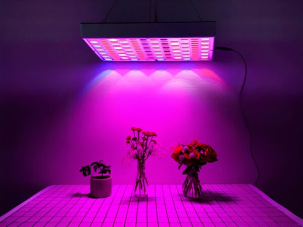 Lampe LED horticole carrée avec câbles de suspension en train d'éclairer trois pots de fleurs sur une table