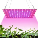 Lampe LED horticole pour plantes d'intérieur Lampe LED horticole pour plantes d'intérieur en train d'éclairer des plantes vertes sur fond blanc