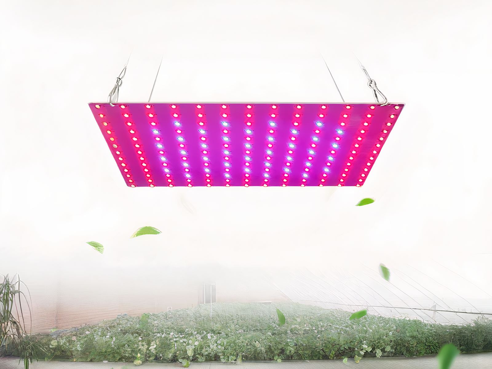 Lampe LED horticole pour plantes d'intérieur