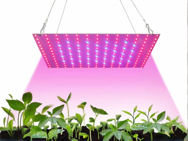 Lampe LED horticole pour plantes d'intérieur en train d'éclairer des plantes vertes sur fond blanc