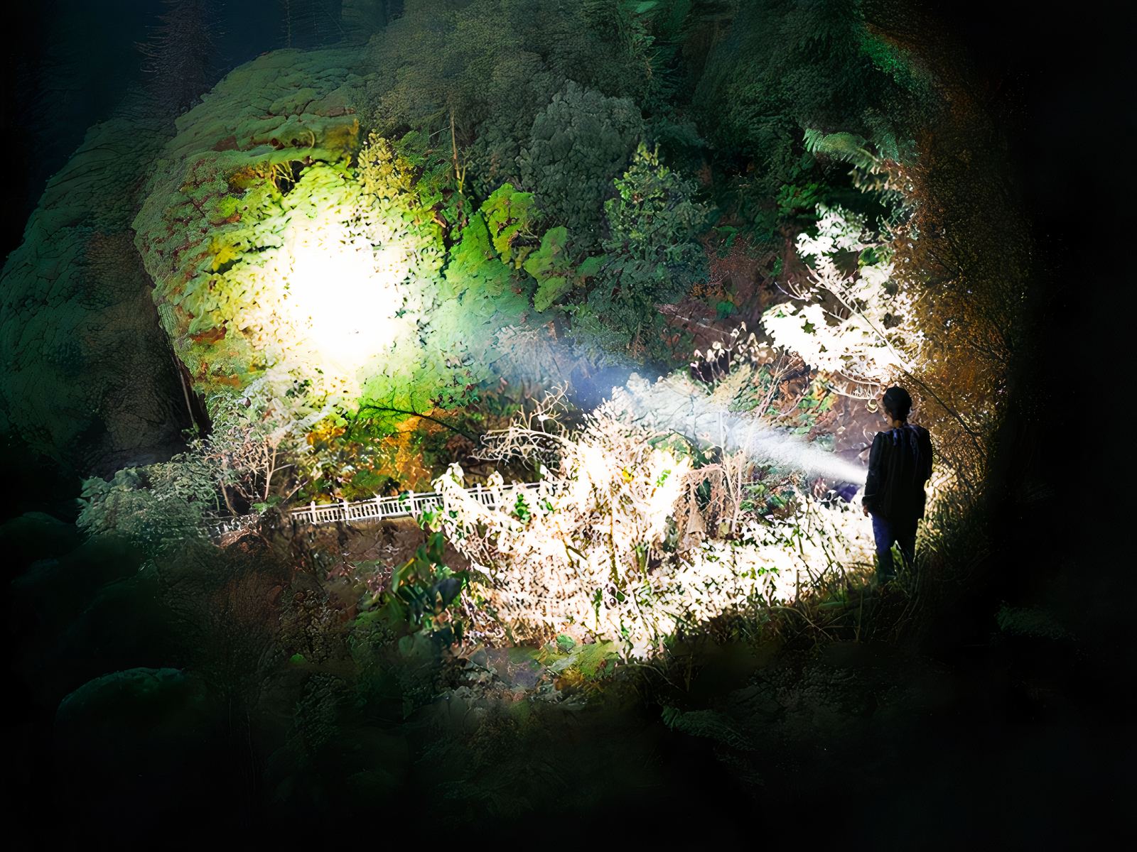 Lampe longue portée LED tendance et fiable