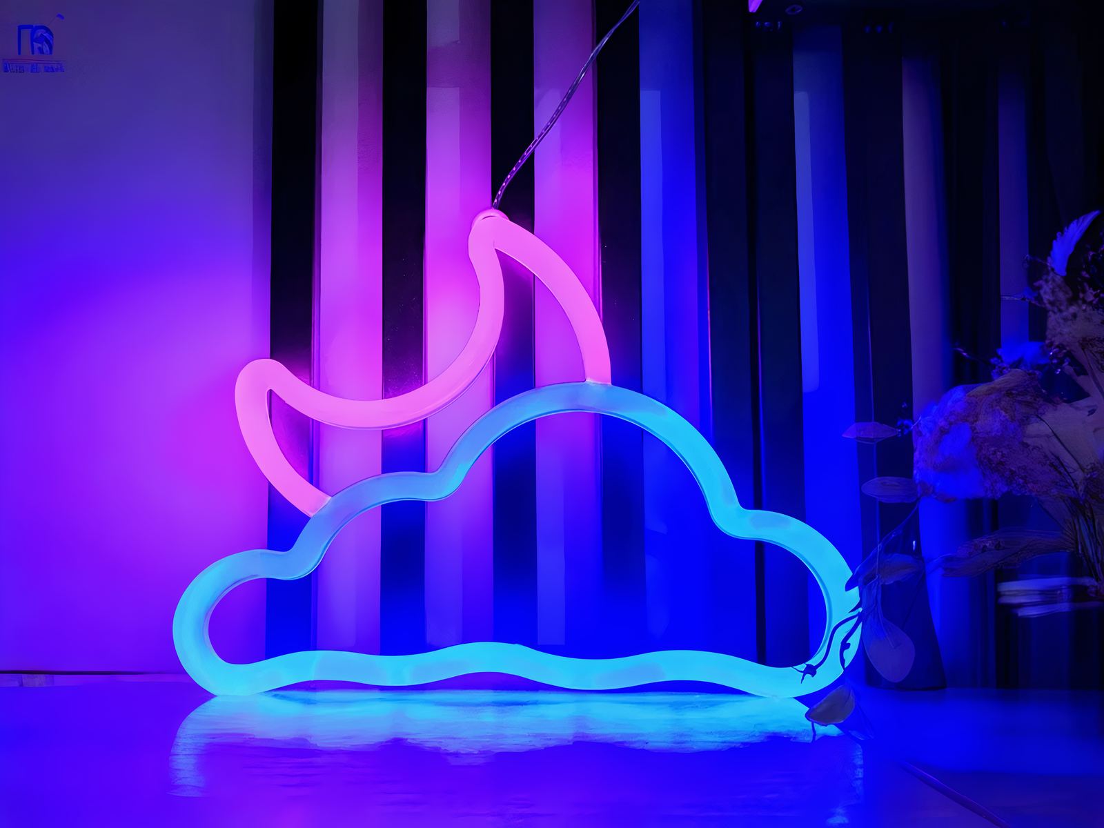 Néon LED en forme de nuage avec lune