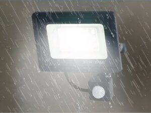 IMG_06_2024_projecteur_exterieur_led_detecteur_mouvement_180 (1)