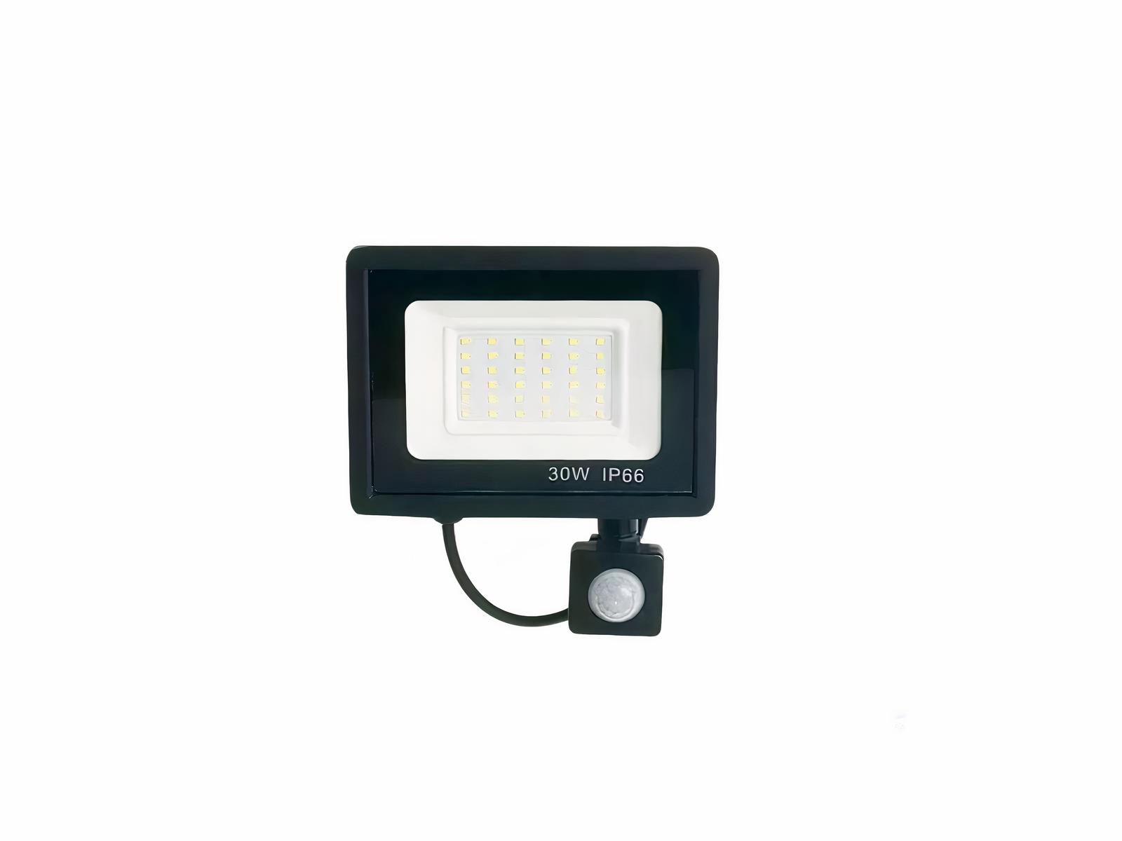 IMG_06_2024_projecteur_exterieur_led_detecteur_mouvement_180 (3)