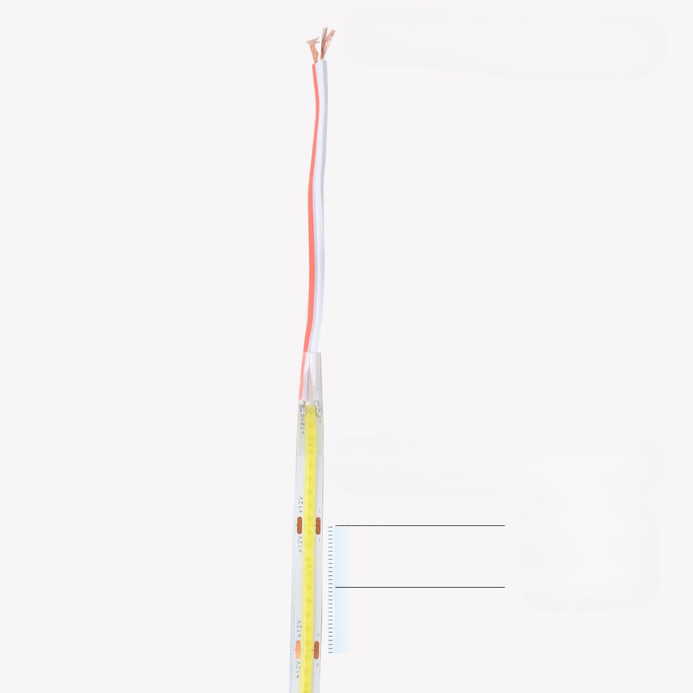 IMG_ruban_led_12v_lumineux_colore