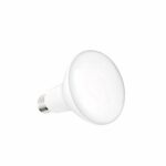 Ampoule LED E14 lumière blanche 9W Ampoule LED E14 forme bulle plate blanche sur fond blanc.