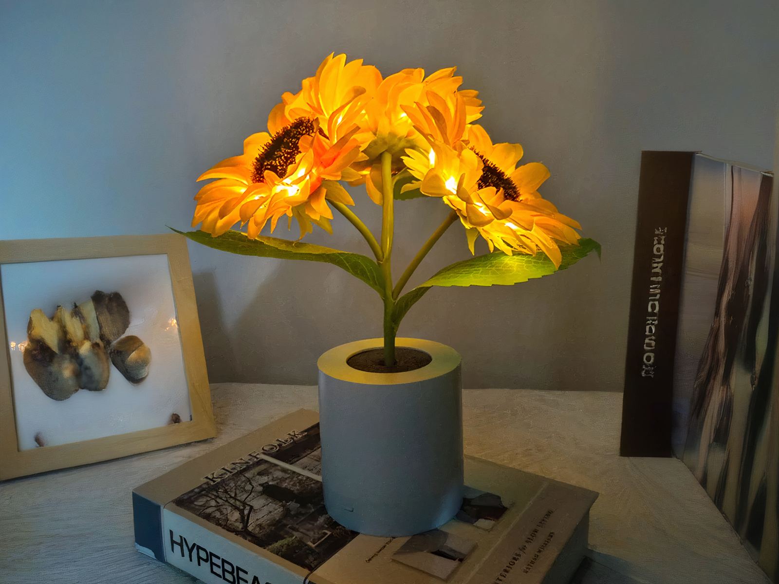 Lampe LED rechargeable effet pot de fleurs Lampe LED rechargeable effet pot de fleurs