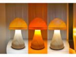 Lampe LED rechargeable en forme de champignon