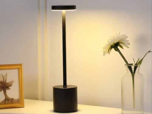 Lampe LED rechargeable luxueuse et sophistiquée avec une fleur à droite