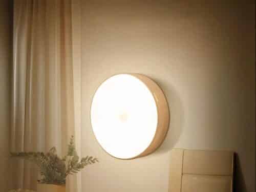 Lampe LED sans fil avec détecteur de mouvement installée sur un mur avec une plante verte en bas à droite
