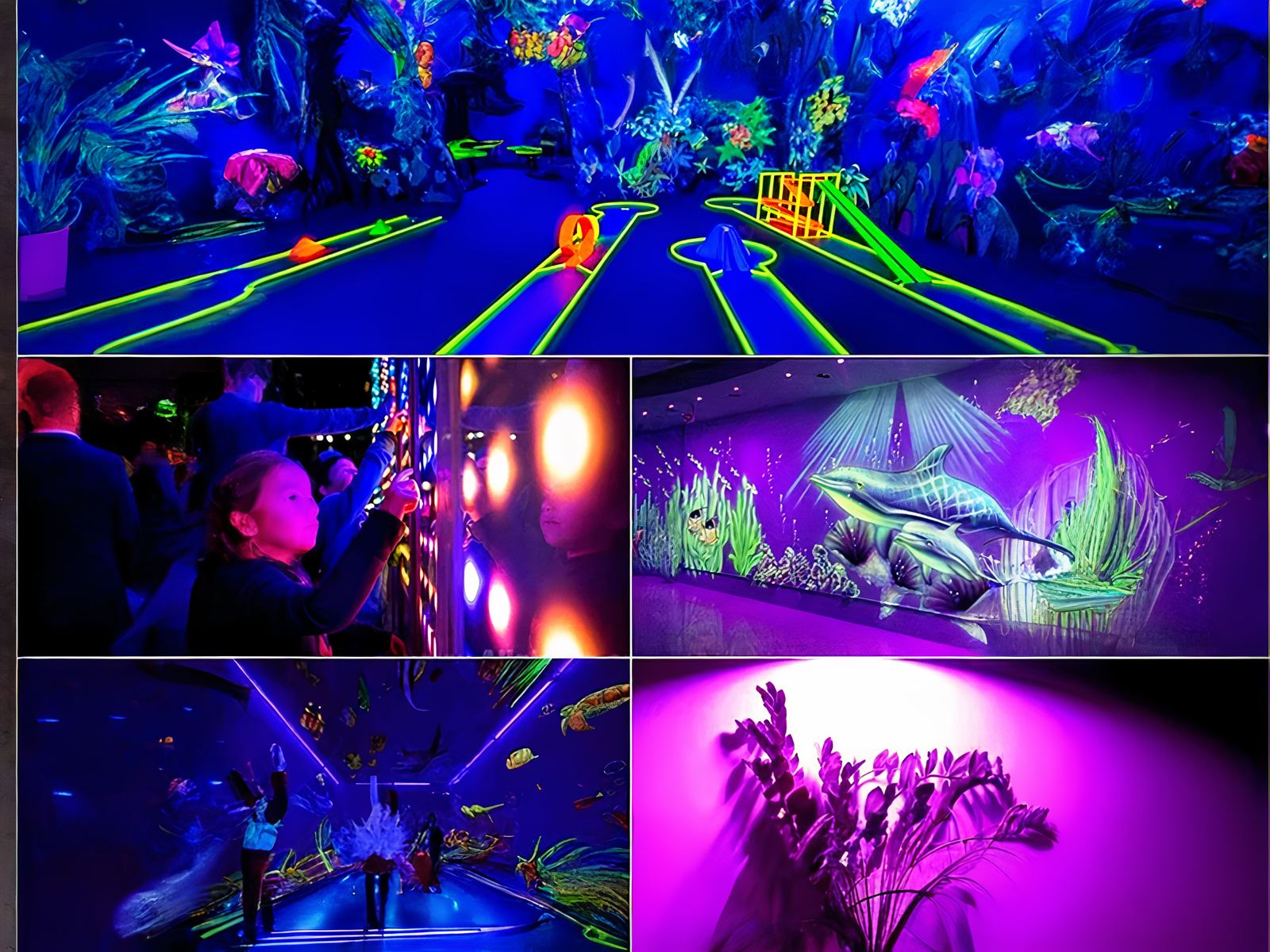 Lampe UV LED étanche en aluminium