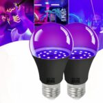 Lot de 2 ampoules LED E27 avec lumière UV, sur un fond blanc.