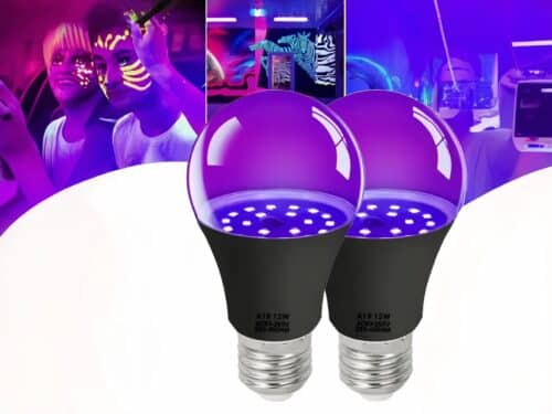 Lot de 2 ampoules LED E27 avec lumière UV, sur un fond blanc.