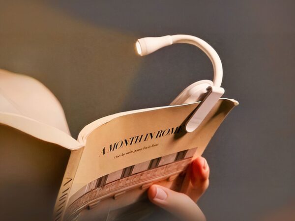 Mini lampe LED de lecture avec pince, de couleur blanche, sur un livre.