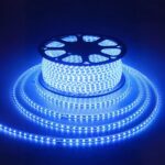 Ruban LED 220V décoratif et étanche Ruban LED 220V décoratif et étanche bleu allumé